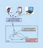 Implantable continuous glucose monitoring sensor